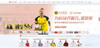 B平博体育 - 德甲多特蒙德官方合作伙伴 7 B平博体育